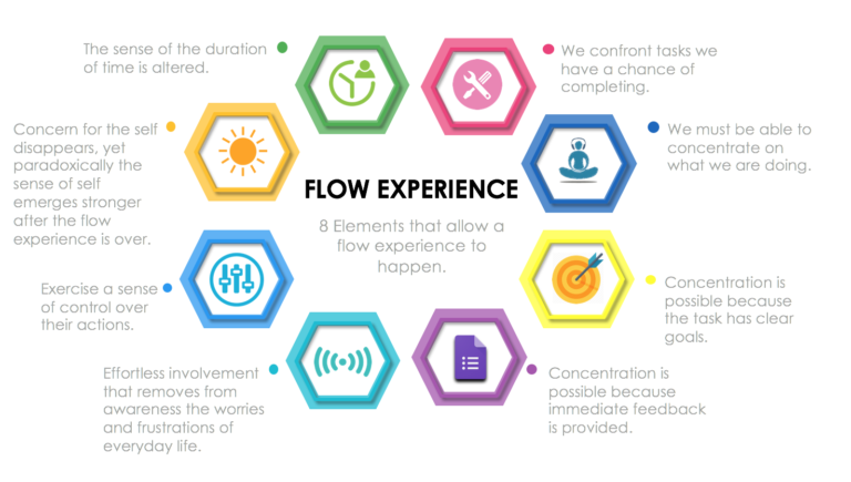 the flow experience arises out of